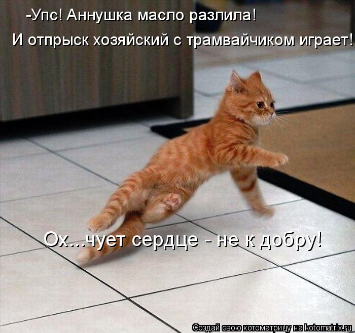 -Упс! Аннушка масло разлила! И отпрыск хозяйский с трамвайчиком играет! Ох...чует сердце - не к добру... Котоматрица: -Упс! Аннушка масло разлила! И отпрыск хозяйский с трамвайчиком играет! Ох...чует сердце - не к добру!