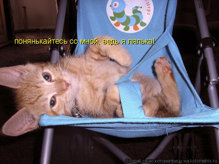 Котоматрица: понянькайтесь со мной, ведь я лялька!
