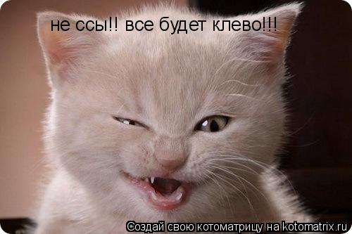 Котоматрица: не ссы!! все будет клево!!!