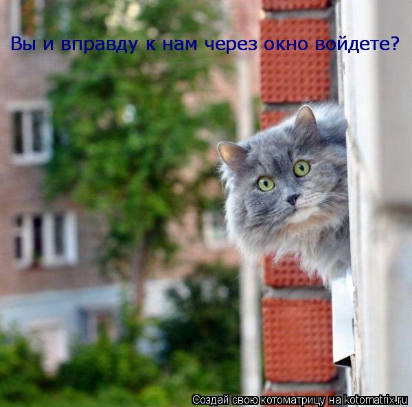 Котоматрица: Вы и вправду к нам через окно войдете? Вы и вправду к нам через окно войдете?