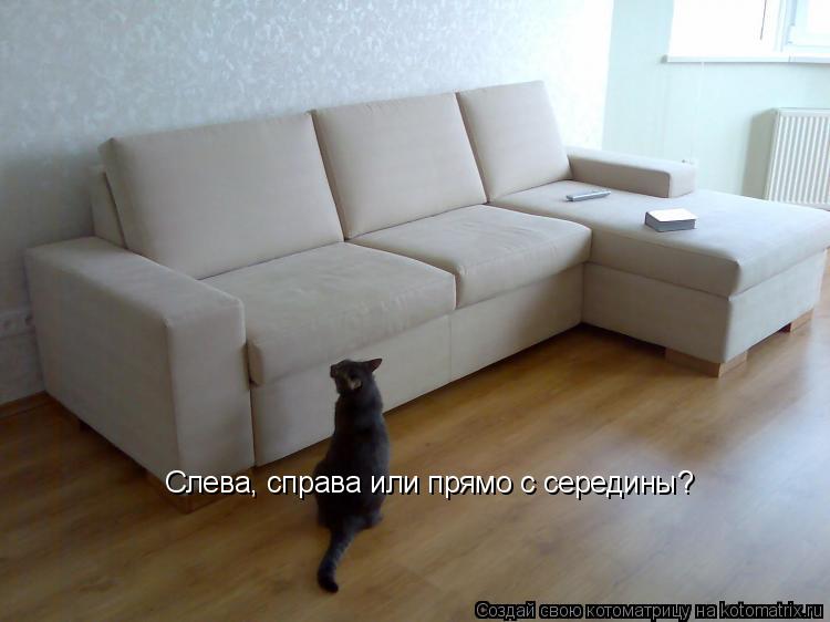 Котоматрица: Слева, справа или прямо с середины?