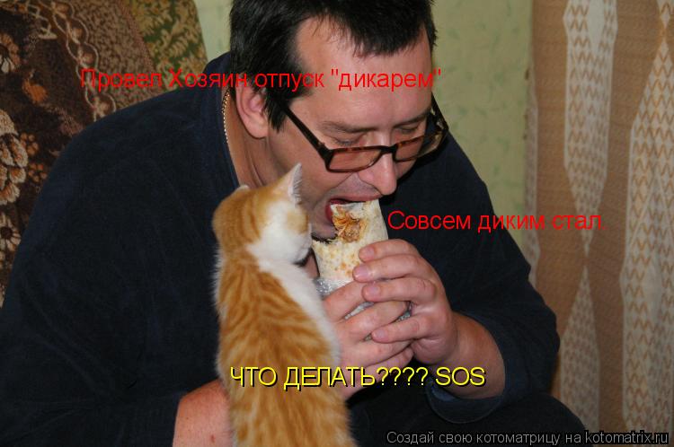 Котоматрица: Провел Хозяин отпуск "дикарем" Совсем диким стал. ЧТО ДЕЛАТЬ???? SOS