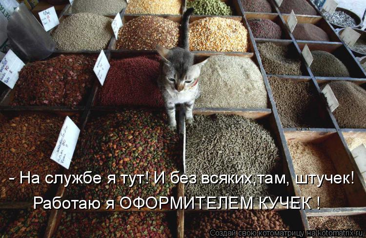 Работаю я ОФОРМИТЕЛЕМ КУЧЕК ! - На службе я тут! И без всяких,там, штучек!... Котоматрица: Работаю я ОФОРМИТЕЛЕМ КУЧЕК ! - На службе я тут! И без всяких,там, штучек!