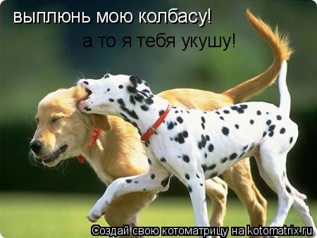 Котоматрица: выплюнь мою колбасу! а то я тебя укушу!