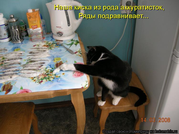 Котоматрица: Наша киска из рода аккуратисток, Ряды подравнивает...