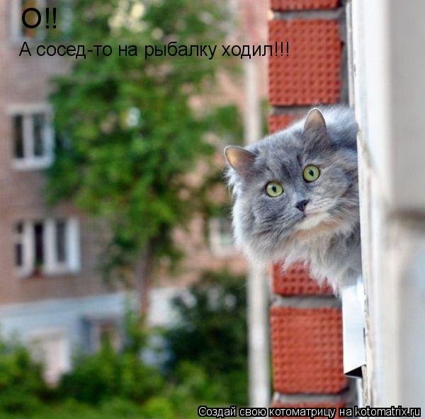Котоматрица: А сосед-то на рыбалку ходил!!! О!!