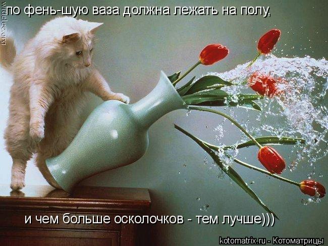 Котоматрица: по фень-шую ваза должна лежать на полу,  и чем больше осколочков - тем лучше)))