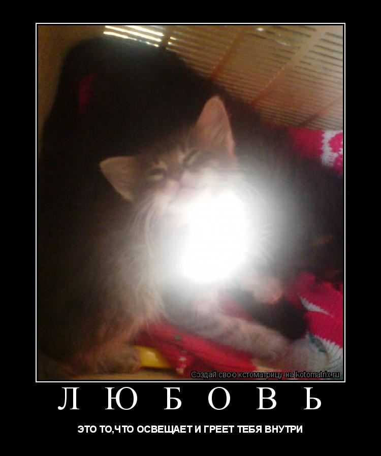 Л Ю Б О В Ь ЭТО ТО,ЧТО ОСВЕЩАЕТ И ГРЕЕТ ТЕБЯ ВНУТРИ... Котоматрица: Л Ю Б О В Ь ЭТО ТО,ЧТО ОСВЕЩАЕТ И ГРЕЕТ ТЕБЯ ВНУТРИ