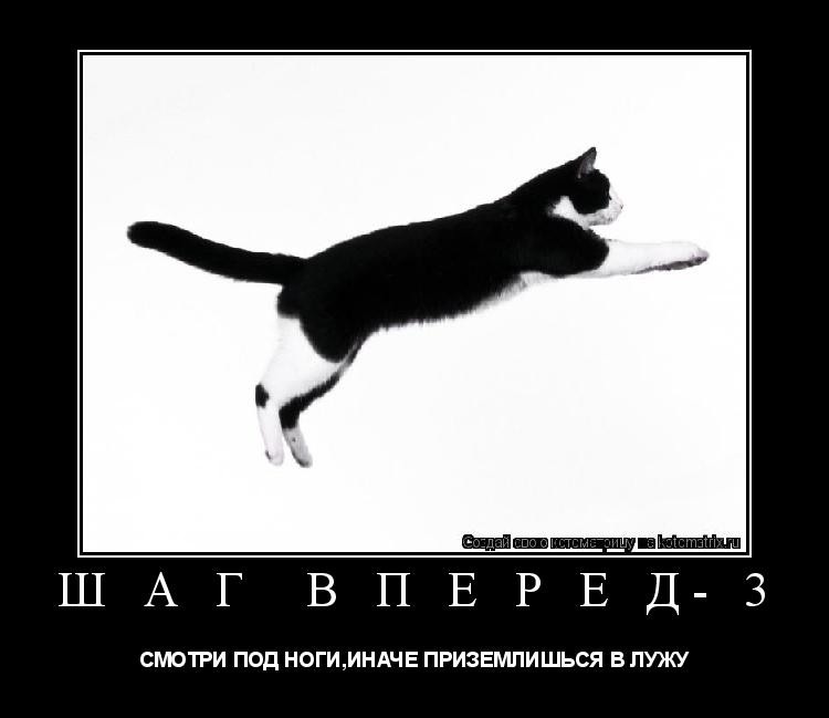 Котоматрица: Ш А Г  В П Е Р Е Д- 3 СМОТРИ ПОД НОГИ,ИНАЧЕ ПРИЗЕМЛИШЬСЯ В ЛУЖУ