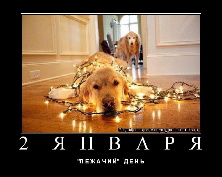 2 Я Н В А Р Я "Л Е Ж А Ч И Й" Д Е Н Ь... Котоматрица: 2 Я Н В А Р Я "Л Е Ж А Ч И Й" Д Е Н Ь
