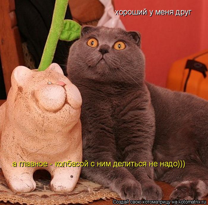 Котоматрица: хороший у меня друг а главное - колбасой с ним делиться не надо)))
