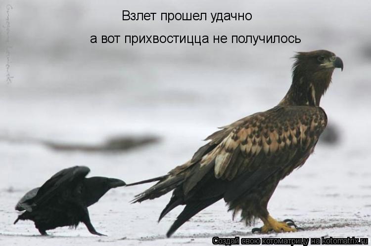 Котоматрица: Взлет прошел удачно а вот прихвостицца не получилось