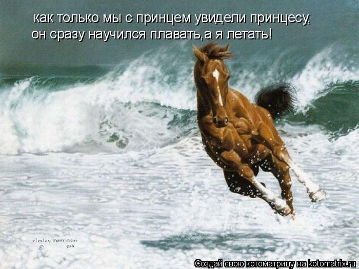 Котоматрица: он сразу научился плавать,а я летать!  как только мы с принцем увидели принцесу,