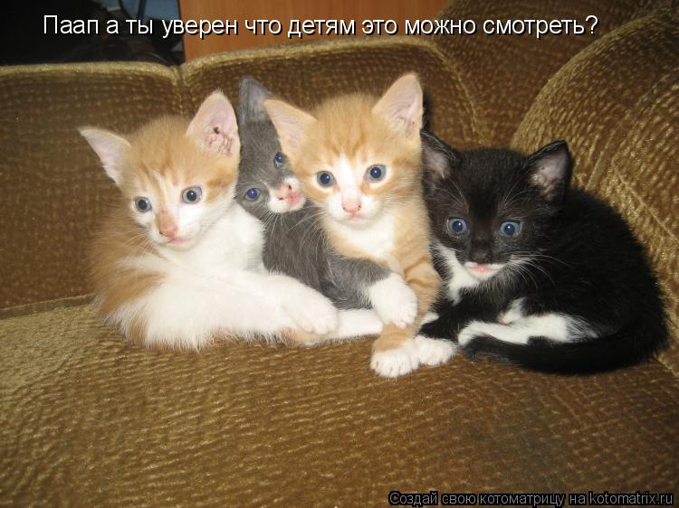 Котоматрица: Паап а ты уверен что детям это можно смотреть?