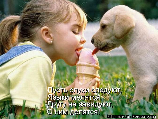Котоматрица: Пусть слухи следуют, Языки мелятся, Другу не завидуют, С ним делятся!