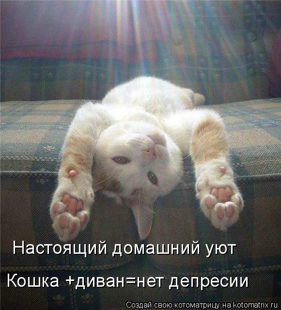 Настоящий домашний уют Кошка +диван=нет депресии... Котоматрица: Настоящий домашний уют Кошка +диван=нет депресии