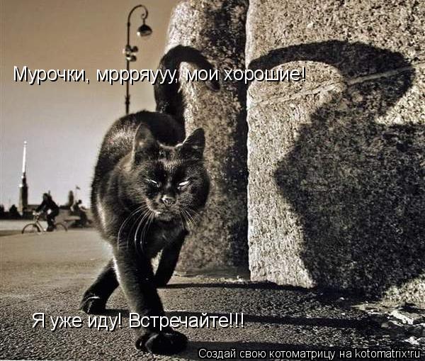 Мурочки, мррряууу, мои хорошие! Я уже иду! Встречайте!!!... Котоматрица: Мурочки, мррряууу, мои хорошие! Я уже иду! Встречайте!!!
