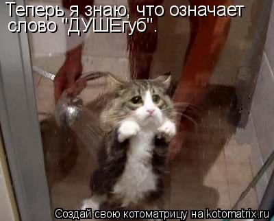 Теперь я знаю, что означает слово "ДУШЕгуб".... Котоматрица: Теперь я знаю, что означает слово "ДУШЕгуб".
