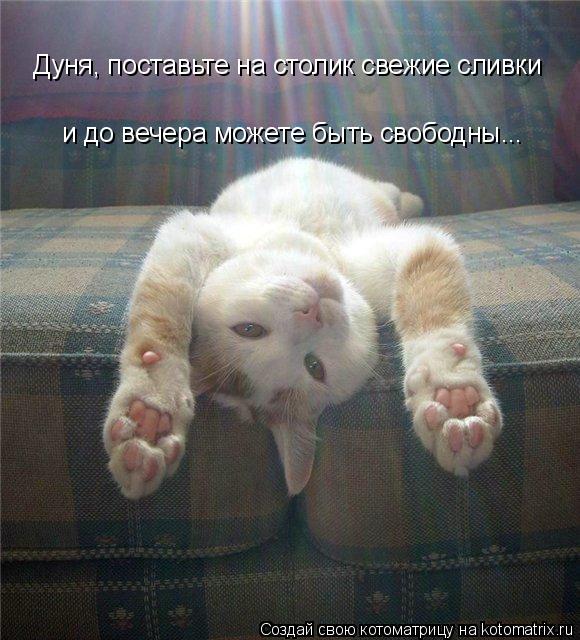 Дуня, поставьте на столик свежие сливки и до вечера можете быть свободны...... Котоматрица: Дуня, поставьте на столик свежие сливки и до вечера можете быть свободны...