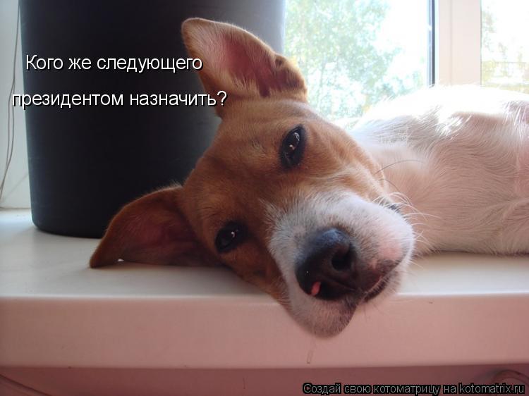 Кого же следующего президентом назначить?... Котоматрица: Кого же следующего президентом назначить?