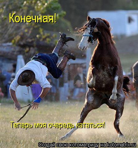 Конечная! Теперь моя очередь кататься!... Котоматрица: Конечная! Теперь моя очередь кататься!