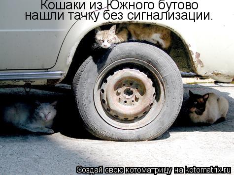 Кошаки из Южного бутово нашли тачку без сигнализации.... Котоматрица: Кошаки из Южного бутово нашли тачку без сигнализации.