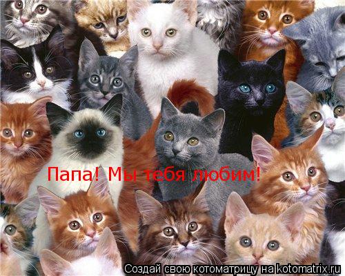 Папа! Мы тебя любим!... Котоматрица: Папа! Мы тебя любим!