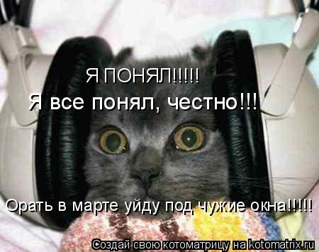 Я ПОНЯЛ!!!!! Я все понял, честно!!! Орать в марте уйду под чужие окна!!!!!... Котоматрица: Я ПОНЯЛ!!!!! Я все понял, честно!!! Орать в марте уйду под чужие окна!!!!!