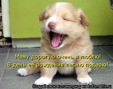 Маму дорогую очень я люблю! В день её рождения песню подарю!... Котоматрица: Маму дорогую очень я люблю! В день её рождения песню подарю!