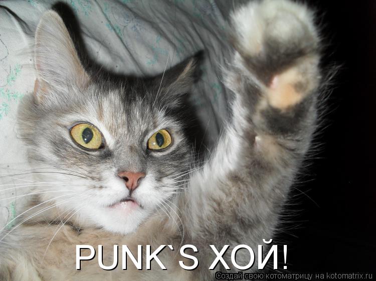 PUNK`S ХОЙ!... Котоматрица: PUNK`S ХОЙ!