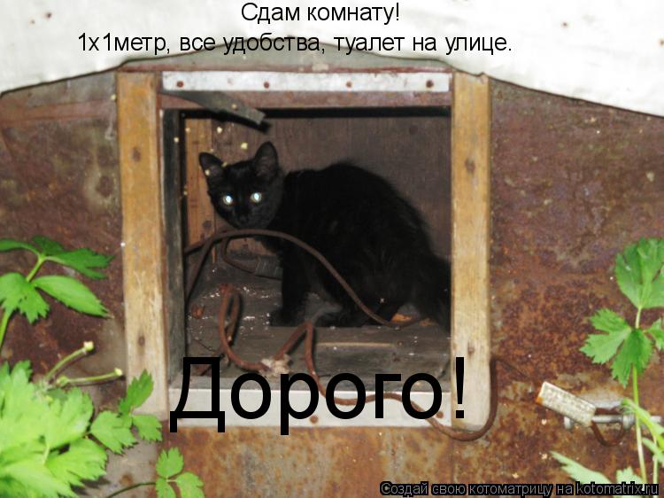 Сдам комнату! 1x1метр, все удобства, туалет на улице. Дорого!... Котоматрица: Сдам комнату! 1x1метр, все удобства, туалет на улице. Дорого!