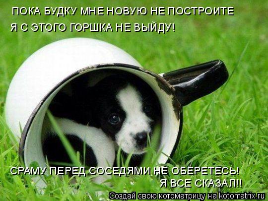 ПОКА БУДКУ МНЕ НОВУЮ НЕ ПОСТРОИТЕ Я С ЭТОГО ГОРШКА НЕ ВЫЙДУ! СРАМУ ПЕРЕД СОСЕДЯМИ НЕ ОБЕРЕТЕСЬ! Я ВСЕ... Котоматрица: ПОКА БУДКУ МНЕ НОВУЮ НЕ ПОСТРОИТЕ Я С ЭТОГО ГОРШКА НЕ ВЫЙДУ! СРАМУ ПЕРЕД СОСЕДЯМИ НЕ ОБЕРЕТЕСЬ! Я ВСЕ СКАЗАЛ!!