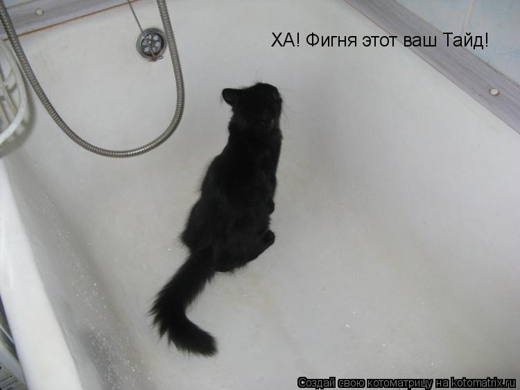 ХА! Фигня этот ваш Тайд!... Котоматрица: ХА! Фигня этот ваш Тайд!
