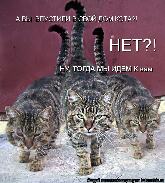 А ВЫ ВПУСТИЛИ В СВОЙ ДОМ КОТА?! НЕТ?! НУ, ТОГДА МЫ ИДЕМ К вам... Котоматрица: А ВЫ ВПУСТИЛИ В СВОЙ ДОМ КОТА?! НЕТ?! НУ, ТОГДА МЫ ИДЕМ К вам