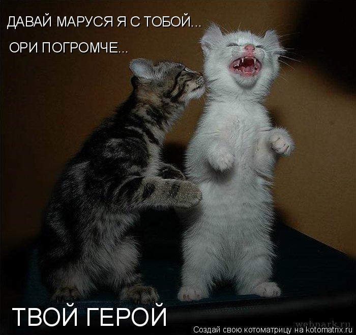 ДАВАЙ МАРУСЯ Я С ТОБОЙ... ОРИ ПОГРОМЧЕ... ТВОЙ ГЕРОЙ... Котоматрица: ДАВАЙ МАРУСЯ Я С ТОБОЙ... ОРИ ПОГРОМЧЕ... ТВОЙ ГЕРОЙ