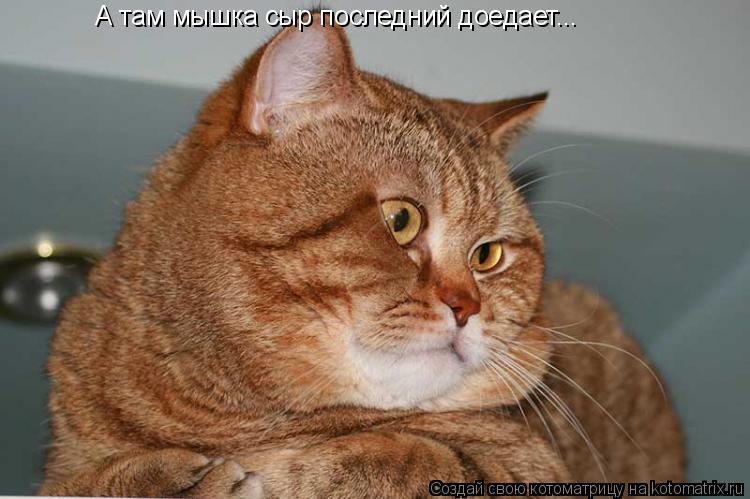 А там мышка сыр последний доедает...
