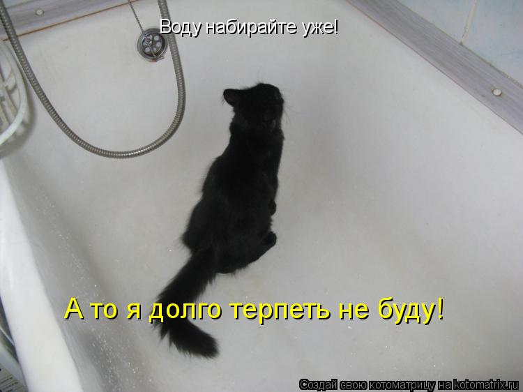 Воду набирайте уже! А то я долго терпеть не буду!... Котоматрица: Воду набирайте уже! А то я долго терпеть не буду!
