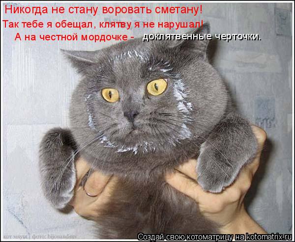 Никогда не стану воровать сметану! Так тебе я обещал, клятву я не нарушал! А на честной мордочке - до... Котоматрица: Никогда не стану воровать сметану! Так тебе я обещал, клятву я не нарушал! А на честной мордочке - доклятвенные черточки.