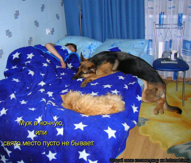 свято место пусто не бывает. или Муж в ночную,... Котоматрица: свято место пусто не бывает. или Муж в ночную,