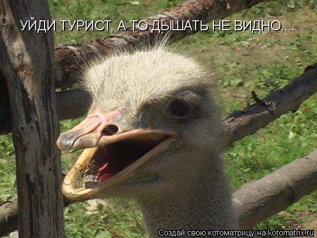УЙДИ ТУРИСТ, А ТО ДЫШАТЬ НЕ ВИДНО....... Котоматрица: УЙДИ ТУРИСТ, А ТО ДЫШАТЬ НЕ ВИДНО....