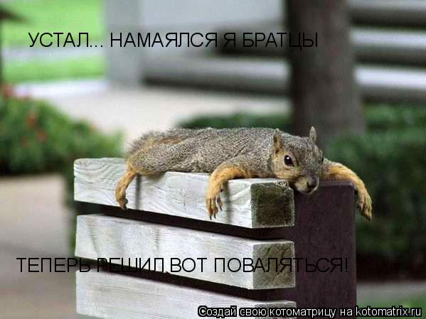 УСТАЛ... НАМАЯЛСЯ Я БРАТЦЫ ТЕПЕРЬ РЕШИЛ ВОТ ПОВАЛЯТЬСЯ!... Котоматрица: УСТАЛ... НАМАЯЛСЯ Я БРАТЦЫ ТЕПЕРЬ РЕШИЛ ВОТ ПОВАЛЯТЬСЯ!