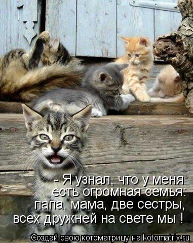 есть огромная семья: папа, мама, две сестры, всех дружней на свете мы ! - Я узнал, что у меня... Котоматрица: есть огромная семья: папа, мама, две сестры, всех дружней на свете мы ! - Я узнал, что у меня