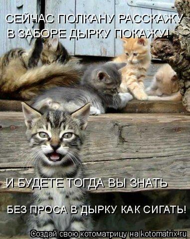 СЕЙЧАС ПОЛКАНУ РАССКАЖУ В ЗАБОРЕ ДЫРКУ ПОКАЖУ! И БУДЕТЕ ТОГДА ВЫ ЗНАТЬ БЕЗ ПРОСА В ДЫРКУ КАК СИГАТЬ!... Котоматрица: СЕЙЧАС ПОЛКАНУ РАССКАЖУ В ЗАБОРЕ ДЫРКУ ПОКАЖУ! И БУДЕТЕ ТОГДА ВЫ ЗНАТЬ БЕЗ ПРОСА В ДЫРКУ КАК СИГАТЬ!
