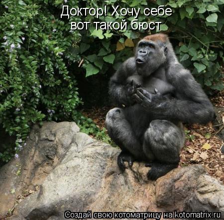 Доктор! Хочу себе вот такой бюст... Котоматрица: Доктор! Хочу себе вот такой бюст