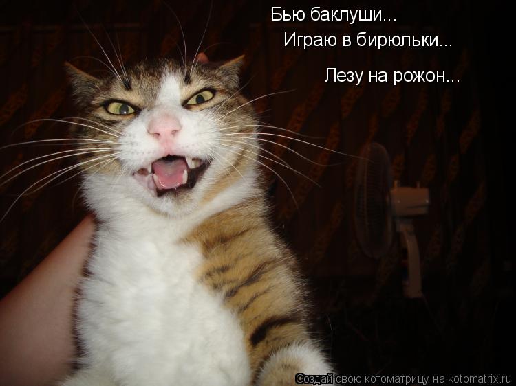 Бью баклуши... Играю в бирюльки... Лезу на рожон...... Котоматрица: Бью баклуши... Играю в бирюльки... Лезу на рожон...
