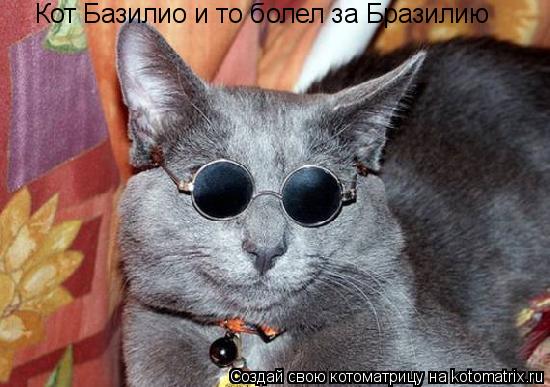 Кот Базилио и то болел за Бразилию... Котоматрица: Кот Базилио и то болел за Бразилию