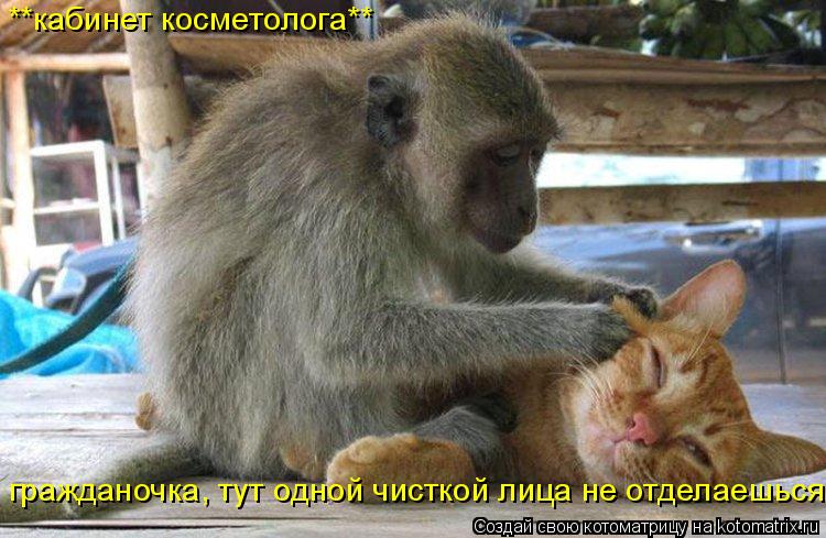 гражданочка, тут одной чисткой лица не отделаешься. **кабинет косметолога**... Котоматрица: гражданочка, тут одной чисткой лица не отделаешься. **кабинет косметолога**