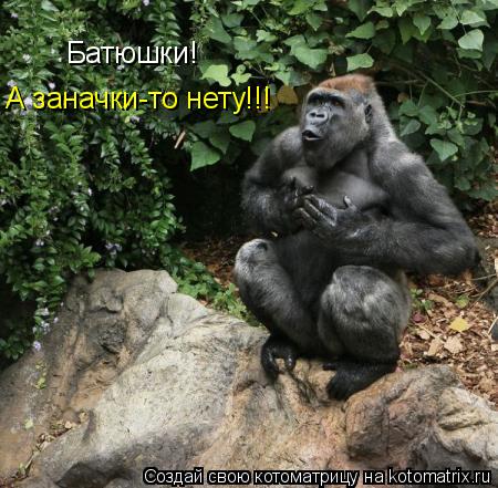 Батюшки! А заначки-то нету!!!... Котоматрица: Батюшки! А заначки-то нету!!!