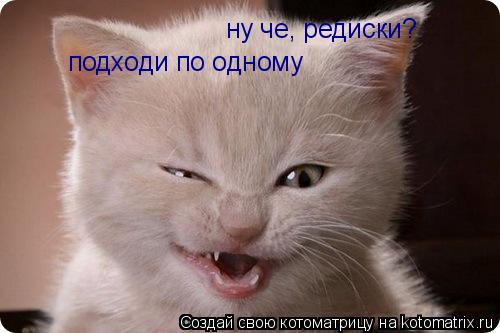 ну че, редиски? подходи по одному... Котоматрица: ну че, редиски? подходи по одному