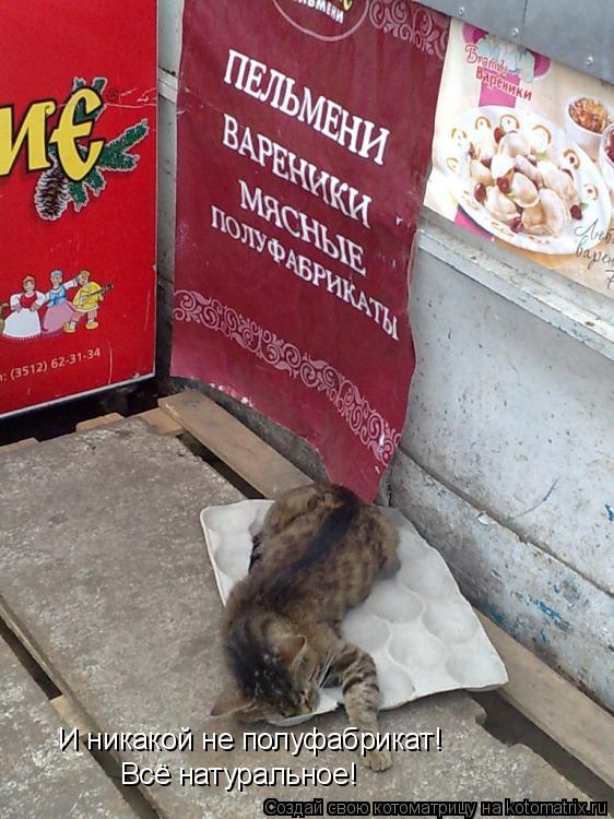 И никакой не полуфабрикат! Всё натуральное!... Котоматрица: И никакой не полуфабрикат! Всё натуральное!